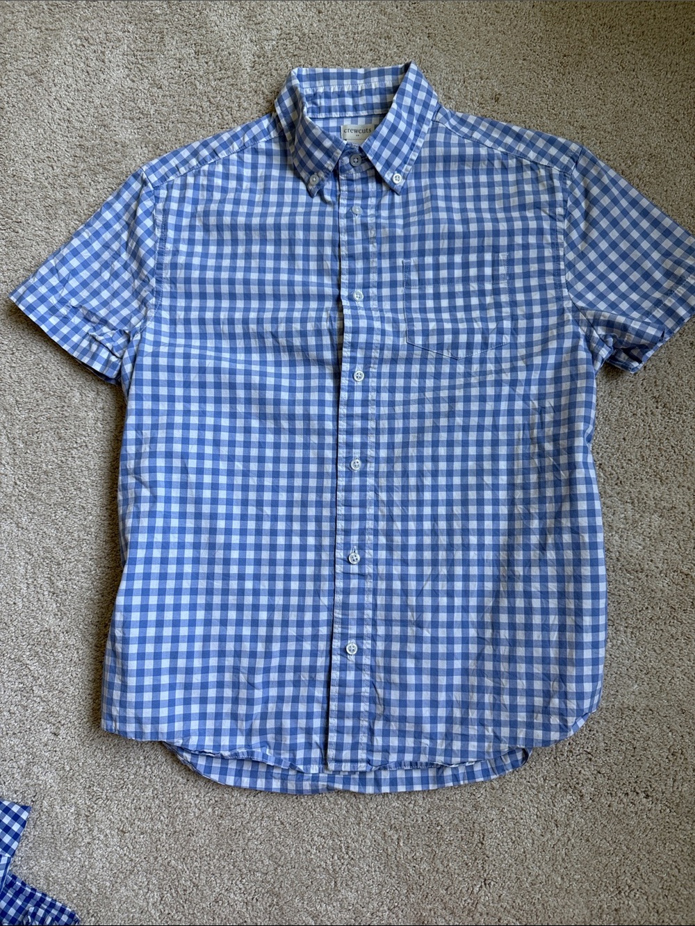 Crewcuts Boys 14 Blue Gingham Short-Sleeve Button-Down Shirt